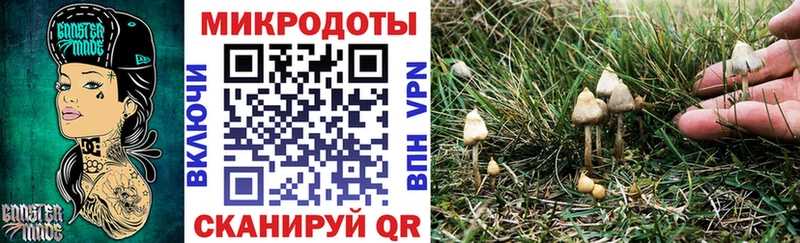 MEGA ONION  Александровск  Псилоцибиновые грибы Magic Shrooms  где купить наркотик 