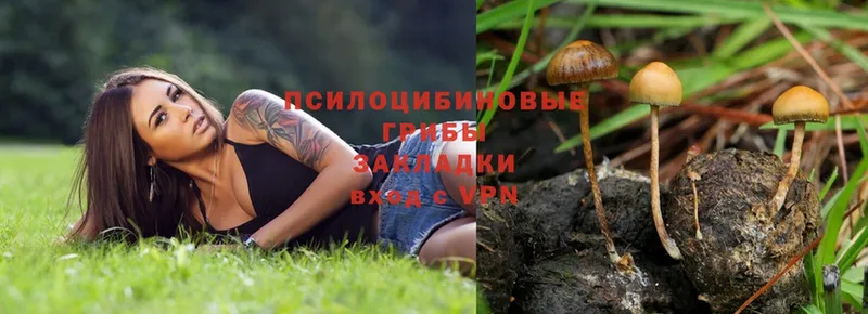 Галлюциногенные грибы Magic Shrooms  Александровск 